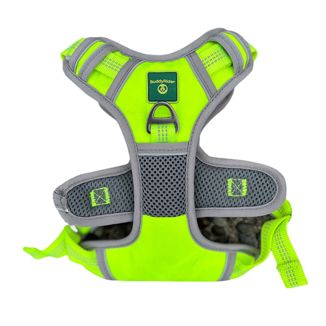 Buddyrider® Harness